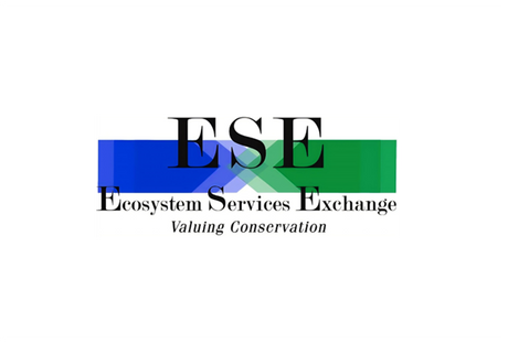 Learn More About ESE