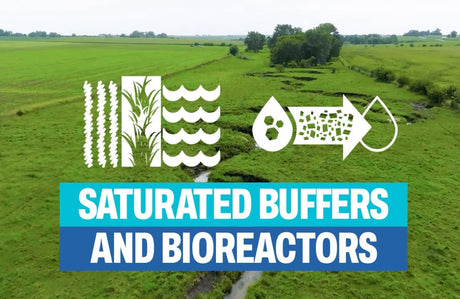🌱 How are woodchip bioreactors and saturated buffers making a difference for Iowa's water?