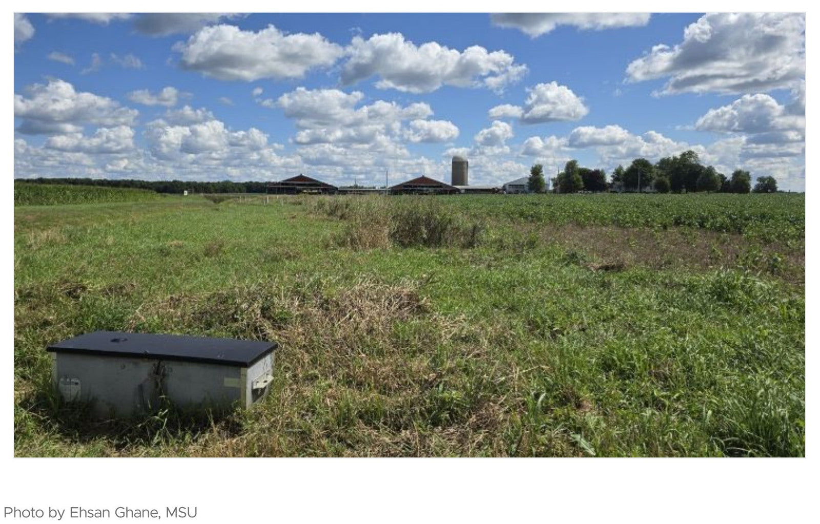 New research is highlighting more opportunities for saturated buffer placement.