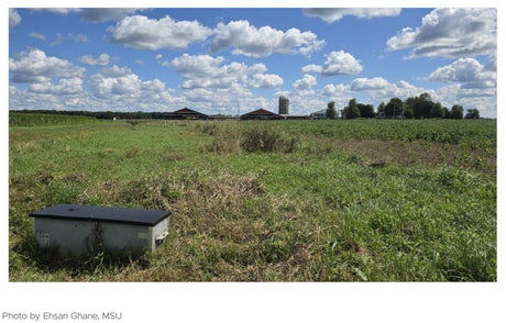 New research is highlighting more opportunities for saturated buffer placement.