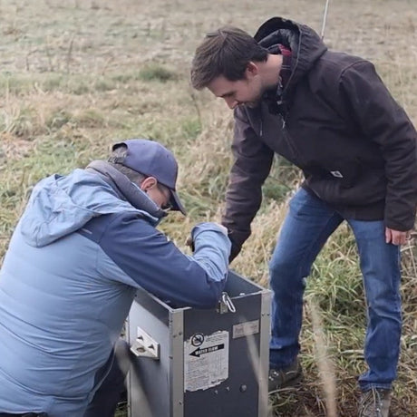 Expert Saturated Buffer Tips