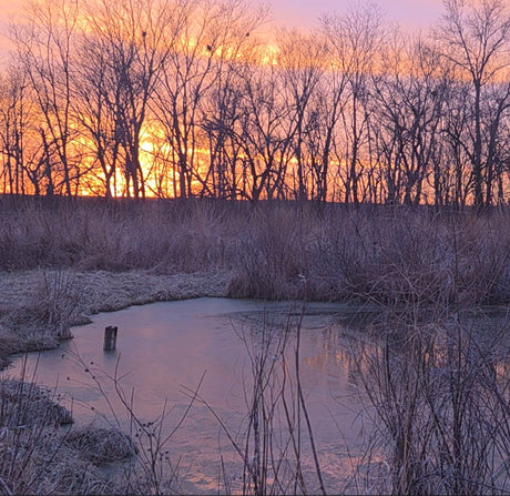 🐸 Turn Up the Volume