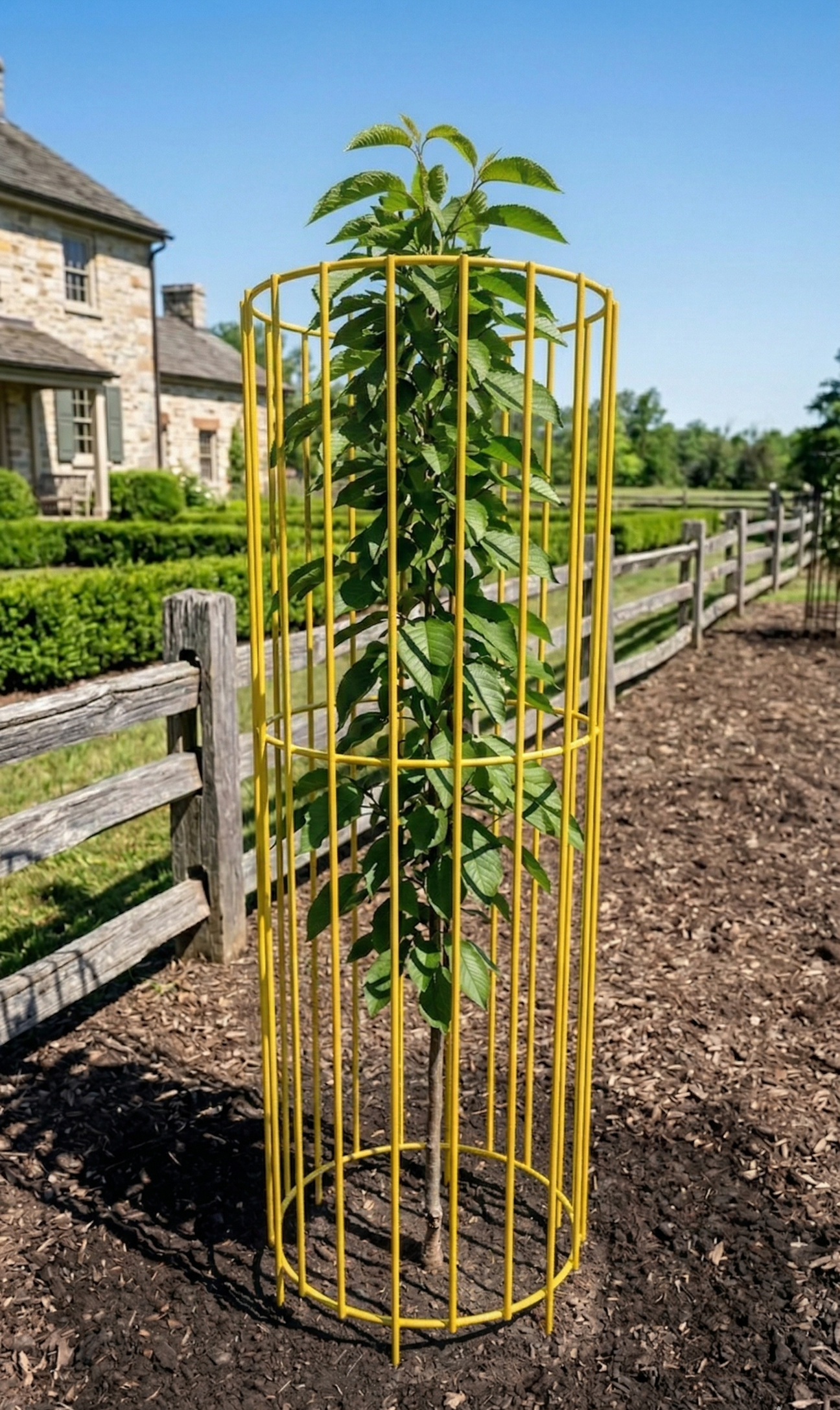Tree Guards