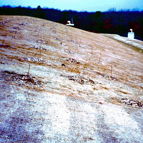 Biodegradable Straw Blanket, 8' x 112.5' | Agri Drain