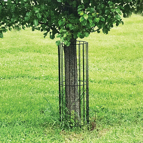 Tree Guard - Black