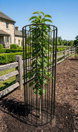 Tree Guard - Black | 12" x 42" | Agri Drain