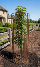 Tree Guard - Natural Rust | 12" x 42" | Agri Drain
