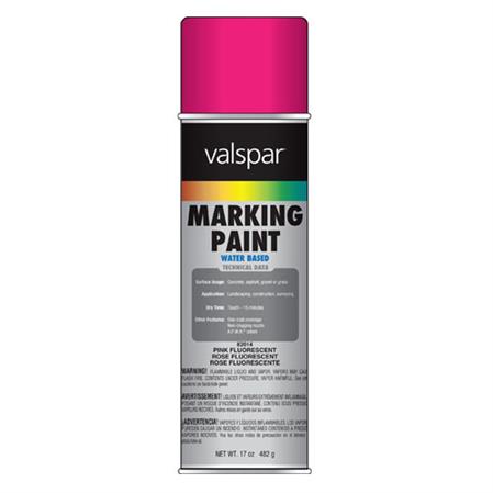 Fluorescent Pink Paint